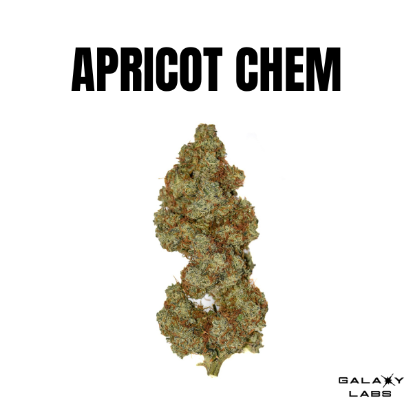 APRICOT CHEM BY GALAXY LABS