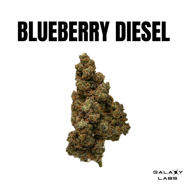 BLUEBERRY DIESEL BY GALAXY LABS